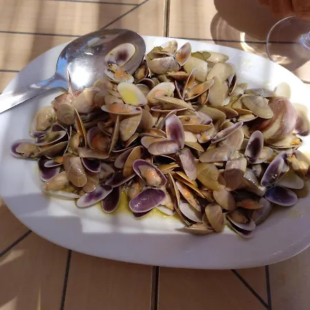 公寓 Estudio Con Piscina Y Garaje A 100 Mtr De La Playa 克莉丝蒂娜岛